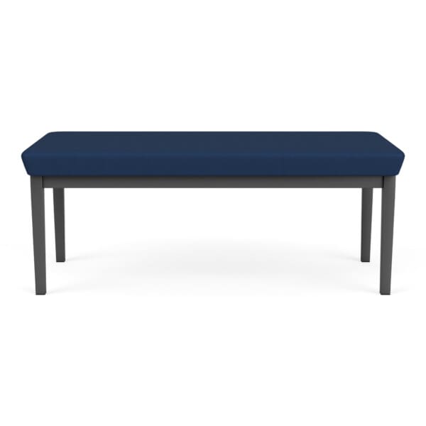 Amherst Steel 2 Seat Bench