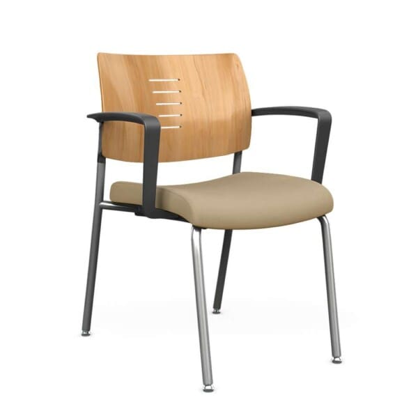 Focus Wood Back