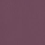 Boysenberry (Antimicrobial Vinyl)