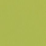 Olive (Antimicrobial Vinyl)