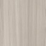 Grey Elm