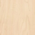 Manitoba Maple