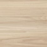 American Elm