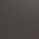 Iron